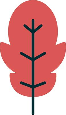Arugula Vector Icon
