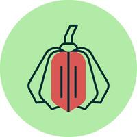 Acorn Squash Vector Icon