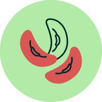 Kidney Bean Vector Icon