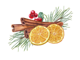 Dried ripe orange slices, cinnamon sticks, red lingonberries with leaves, pine sprig. Winter composition of aromatic spices. Watercolor illustration for packaging design, postcard png