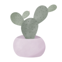 linda cactus en púrpura maceta png