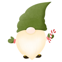 Navidad gnomo con verde sombrero png