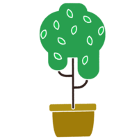 A potted green plant in the house increases the overall happiness in the home for the residents. png