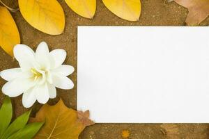 otoño decoración. papel blanco blanco tarjeta Bosquejo antecedentes. ai generativo Pro foto