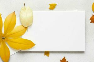 otoño decoración. papel blanco blanco tarjeta Bosquejo antecedentes. ai generativo Pro foto