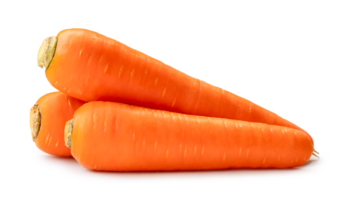 Three fresh beautiful orange carrots in stack isolated with clipping path and shadow in png file format Close up of healthy vegetable root with full focus