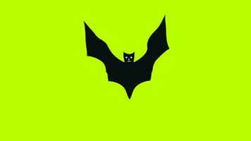 Halloween bat Flying Animation on Green screen. Cute cartoon bat flying on Spooky Playful Halloween background horror night. Animated flying bats Scary and funny face Halloween party Night. video