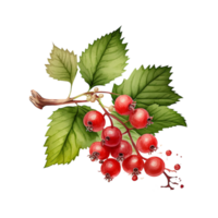 Summer berry illustration ai generated png