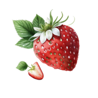 Summer berry illustration ai generated png