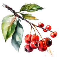 Summer berry illustration ai generated png