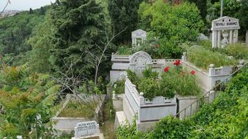 Turquía Estanbul 19 mayo 2023. el otomano histórico antiguo lápidas en cementerio, video