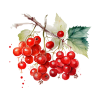 Summer berry illustration ai generated png