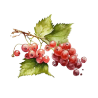 Summer berry illustration ai generated png