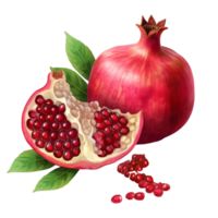 Fresh pomegranate fruit and seeds isolated on transparent ai generative png
