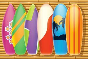 bamboo surf set vector