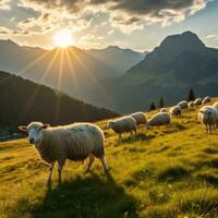 AI Generated White biblical sheep graze in alpine meadows at dawn AI generated photo