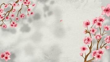 video animation of 4k background cherry blossom background. This animated video is perfect for visual background