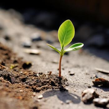 AI Generated A captivating image representing the essence of new beginnings, yet not related to flora AI generated photo