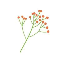 Vector illustration of berry branch. Hand drawn fall plant doodle sketch isolated on white background.