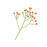 Vector illustration of berry branch. Hand drawn fall plant doodle sketch isolated on white background.