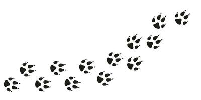 Fox paws. Animal foot traces. Fox black footprints on white background. Flat vector illustration. Design for print, decoration, childrens educational book