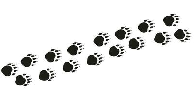Badger paws. Animal foot traces. Badger black footprints on white background. Flat vector illustration. Design for print, decoration, childrens educational book