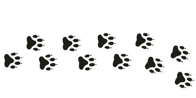 Wlof paws. Animal foot traces. Wolf black footprints on white background. Flat vector illustration. Design for print, decoration, childrens educational book