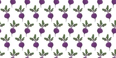 Seamless pattern purple beetroot in flat vector style on white background. For print, textile, background, wrapper.