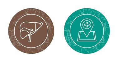 Liver and Location Icon vector