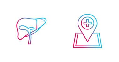 Liver and Location Icon vector