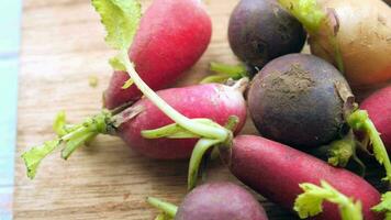 Fresh red radish bundle on chopping board on table video