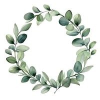 watercolor drawing, wreath, round frame of eucalyptus leaves. delicate illustration, clipart photo