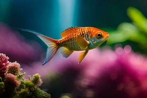 a fish swimming in an aquarium with plants. AI-Generated photo