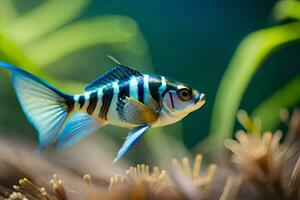 a fish with blue and black stripes is swimming in the water. AI-Generated photo