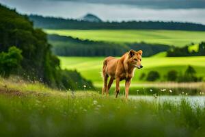 a horse standing in the grass near a lake. AI-Generated photo