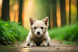 a puppy is sitting on the ground in the woods. AI-Generated photo