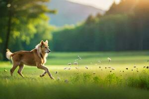 foto fondo de pantalla el césped, perro, naturaleza, el sol, el bosque, el campo, el. generado por ai