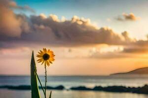 sunflower on the beach at sunset. AI-Generated photo