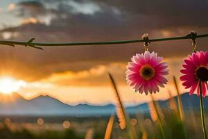 two pink flowers are hanging on a wire with a sunset in the background. AI-Generated photo