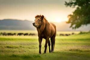 un león soportes en el medio de un campo. generado por ai foto