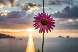 a pink flower is standing in front of the ocean at sunset. AI-Generated photo
