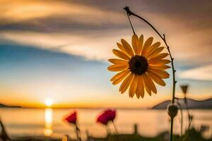 sunflower in the sunset. AI-Generated photo