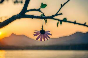 a flower hanging from a tree branch at sunset. AI-Generated photo