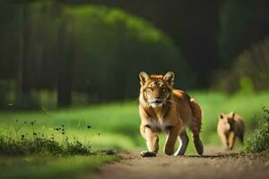 dos leones caminando abajo un suciedad la carretera en el bosque. generado por ai foto