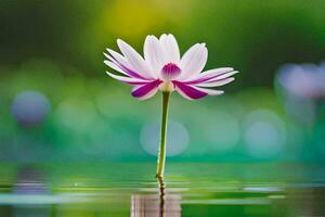 lotus flower in water. AI-Generated photo