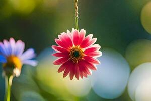 a pink flower hanging from a string. AI-Generated photo