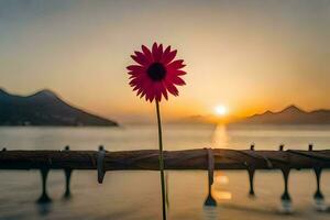 a red flower is sitting on a wooden fence at sunset. AI-Generated photo