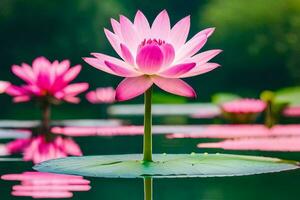 lotus flower in water with lotus leaves. AI-Generated photo