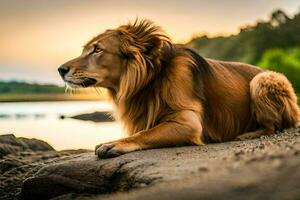 a lion sitting on the shore at sunset. AI-Generated photo