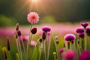 pink flowers in a field with the sun shining. AI-Generated photo